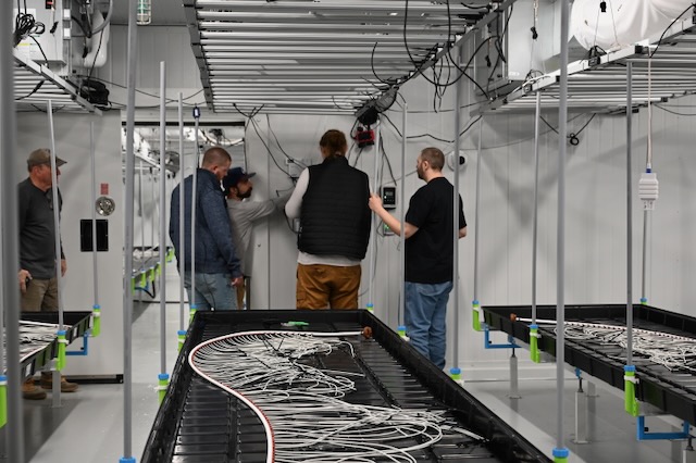 Green Solutions Farm cannabis cultivation facility work crew